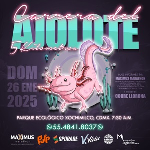 Carrera del AJOLOTE 2025