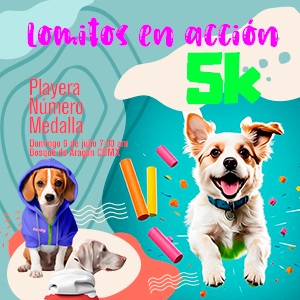 Lomitos en Acción 5 km 2025