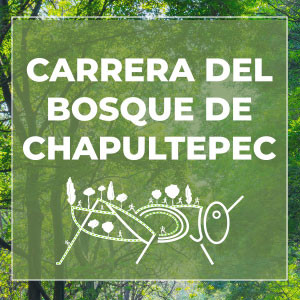 Carrera del Bosque de Chapultepec 2025
