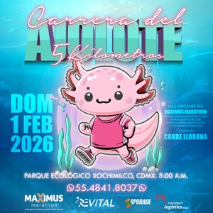 Carrera del AJOLOTE 2026