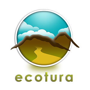 Mariposa Monarca 2026